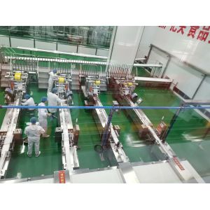 Turnkey Automated Packaging & Palletizing System | From Primary Packaging to Warehouse Ready