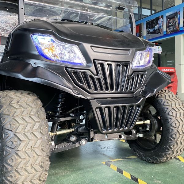 800kg Max Load Capacity Golf Cart with Fast Buggy Electric and Customized Logo Design