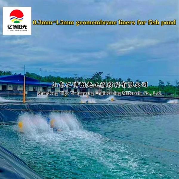 Geomembranas para el cultivo de tilapia y albahaca en 2024 SDM Essential 0,2-3,0 mm HDPE en negro