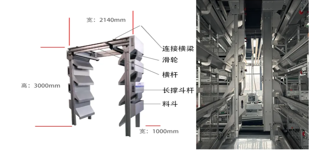 Corrosion Resistant Poultry Equipment with Adjustable Ventilation System for Automatic Feeding and Egg Collection