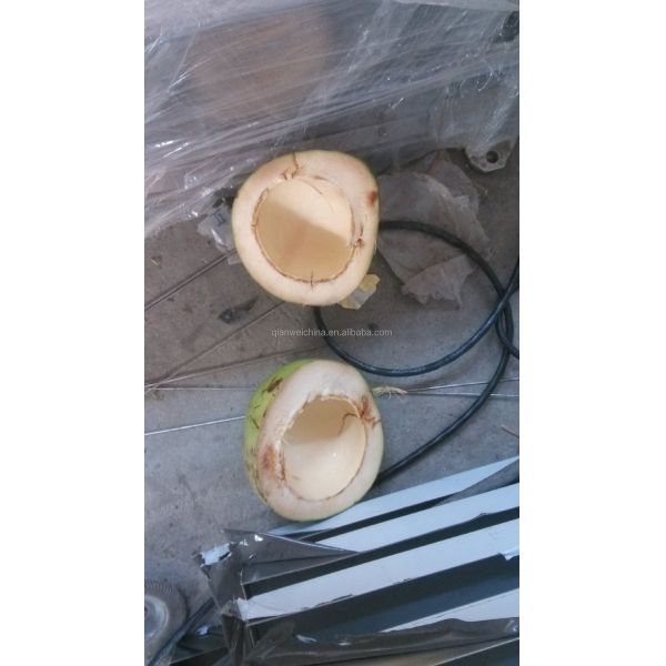 Turnkey Virgin Automatic Processing Line Coconut Water Oil Extracting Machine Extractor