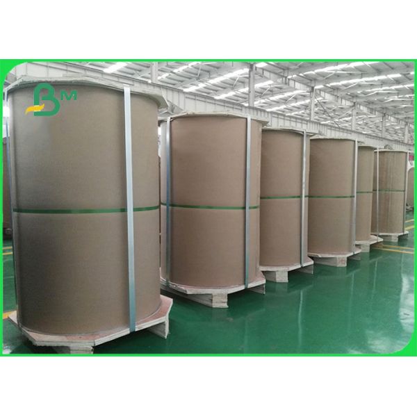 300g Clay Coated 1s Kraft Back Paper For Cake Box Tear Resistant 28 x 44inch