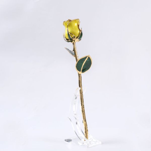 24K Gold-plated Rose Flowers From the Source Factory, 24K Eternal Flower Hot Sales, Qixi Festival Valentine's Day Gift