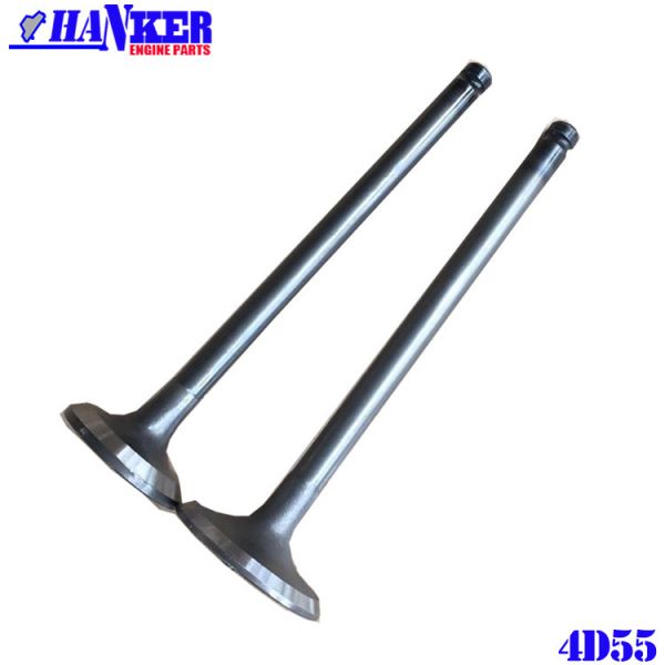 Mitsubishi 4D55 Diesel Engine Valve MD050100 MD050101