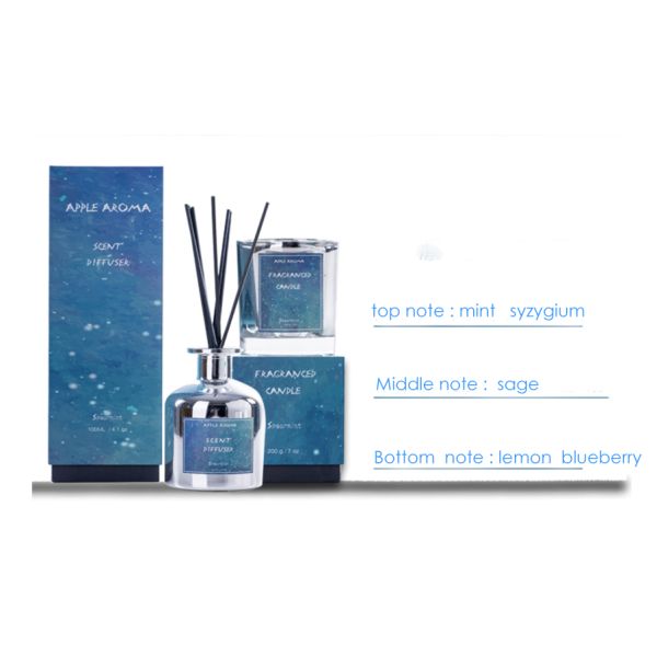 Aroma Scented Wax Candle And Diffuser Set Hand Painted Glassware Bar Decoration