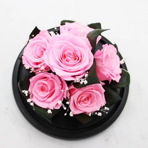 Real Preserved Rose in Glass Dome  use for Office gift or Home Decoration