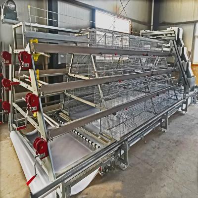 Automatic Broiler Chicken Cage Farm Equipment Poultry 3 Tiers
