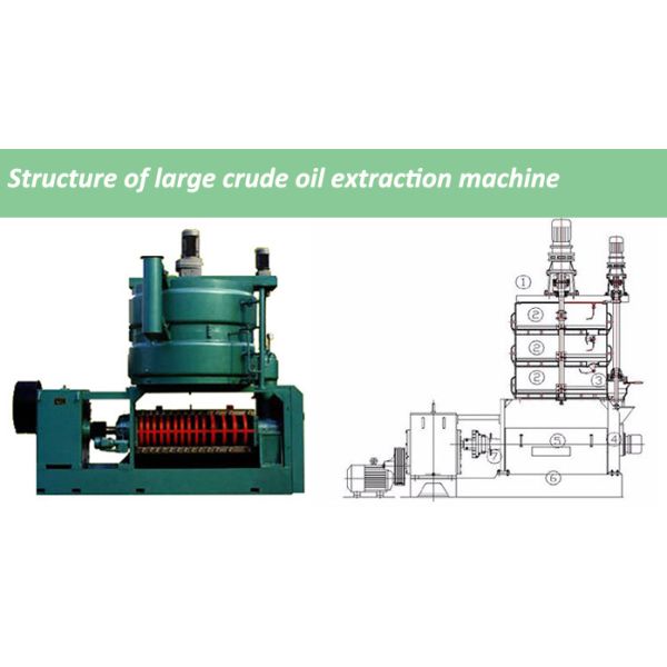High Capacity Groundnut Oil Presser Screw Oil Press Machine for Groundnut Oil Production at Construction Works