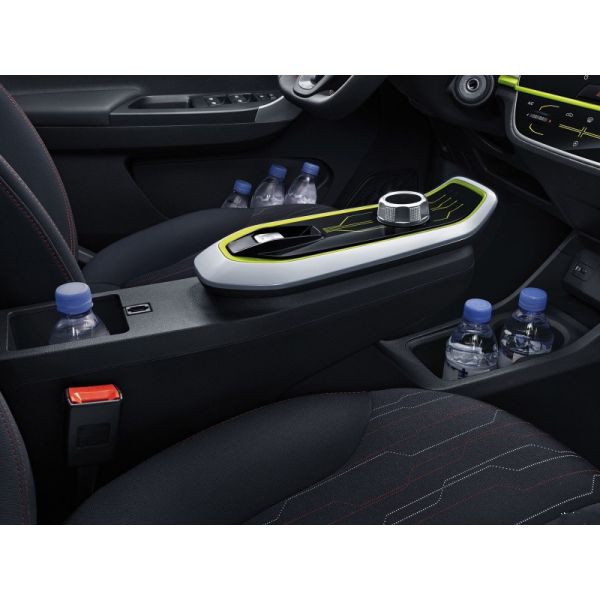 Pure Electric Mini EV Cars Max Speed 101 Km/H Long Range 310KM