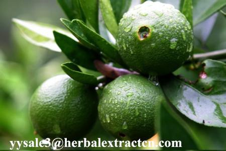 Hesperetin 98%,95% HPLC Light yellow needle crystal pure herbal ingredients