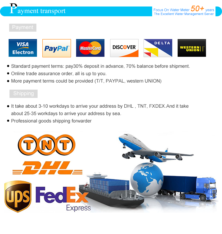 NBIOT Customizable NB-IOT Water Meter with Brass Valve Control Horizontal Installation IP68 Protection Class OEM Support