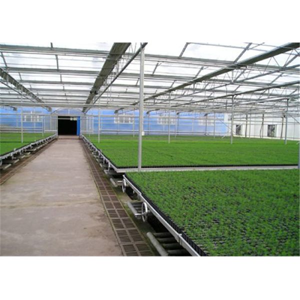 Seedbed System Greenhouse Rolling Benches For Multi Span Agricultural Greenhouse