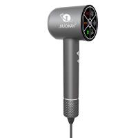 Black Nano Ions High Speed Brushless Motor Compact Hair Dryer Fast Dry