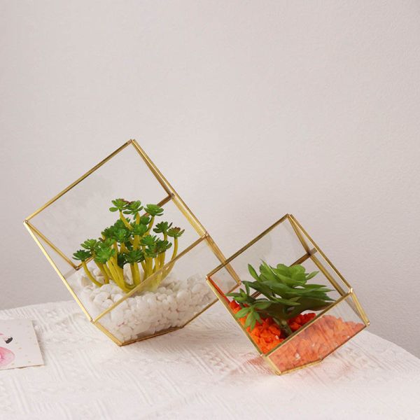 Micro landscape glass artifact cover display box house succulent plant eternal flower box kids gift wholesale