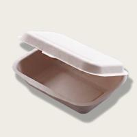 450 ml boîte à repas en pâte à papier Eco-friendly Containers à emporter résistant à l'eau