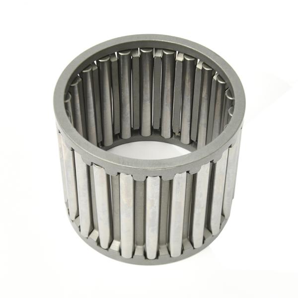 Résistance à la corrosion des rouleaux d'aiguille radiale en nylon et des ensembles de cages