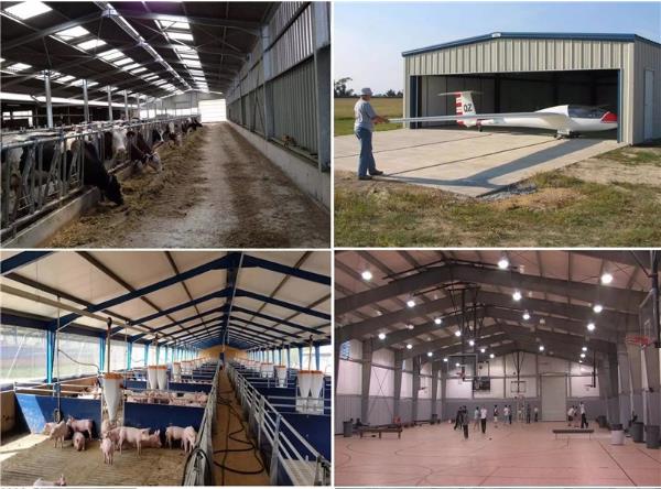 Bolt Galvanized / Roof Chicken Poultry House , 3D Free Design Commercial Poultry House