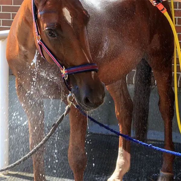 Horse Cleaning Area Ribbed Surface Anti Slip Rubber Mats Interlocking Rubber Mats