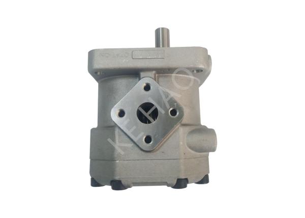GP2-F20-10TΦL Cast Iron Gear Pump , Loader Hydraulic Pump Construction Machine