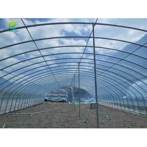 Film de serre pour climat tropical 30 X 100 Kit complet de serre Serre à une seule travée