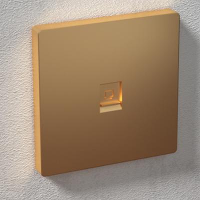 ANSHI 86 Type 2 Ports Face Plate With Gold Spraying & With Shutter