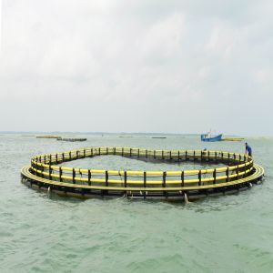 Eco-friendly Zero-feeding Fish Cage