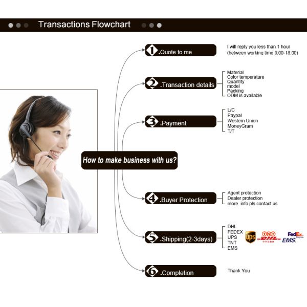 Straight Remy Human Hair Front Lace Wigs With Baby Hair Around