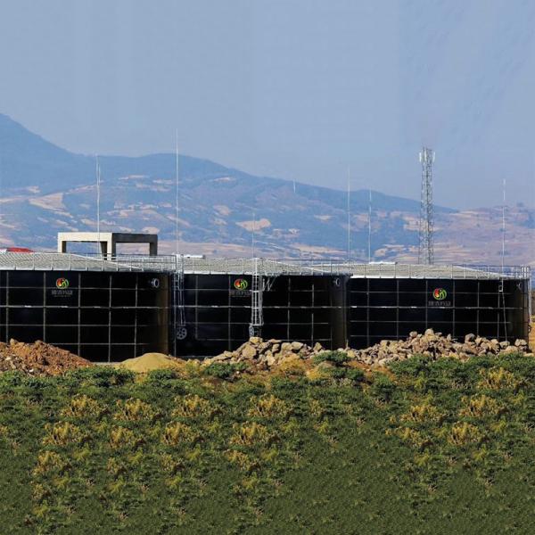 Suporte de gás do biogás da digestão anaeróbica na planta do biogás