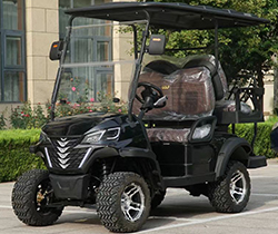 2850*1250*1850 Grade Ability 20-25° CE Luxury Bus DOT Vintage Car Eec 2 Seater Go Kart