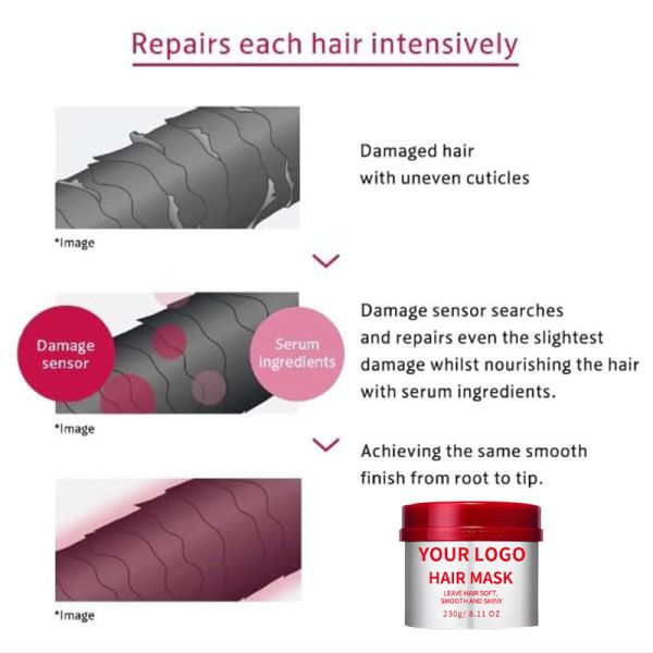 Champú y acondicionador naturales de marca privada para el cuidado del cabello OEM