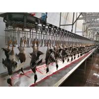 Linha de produção de abate de frangos de aço inoxidável para várias capacidades de produção