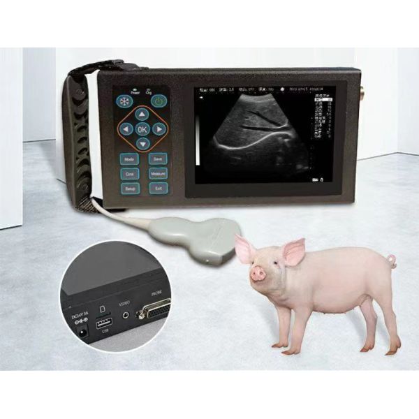 B Veterinary Ultrasound Canine Horse Pigs Scare Pregnancy Animals Mobile Device Vet Digital Handheld Veterinary Ultrasound