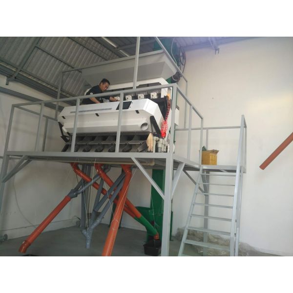 Машина сортировщицы цвета красных фасолей фабрики Китая оптовая мини 1 тонна в день