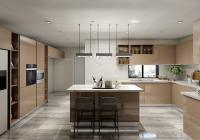 Finition en mélamine Laque Design Ranghood&Cooker