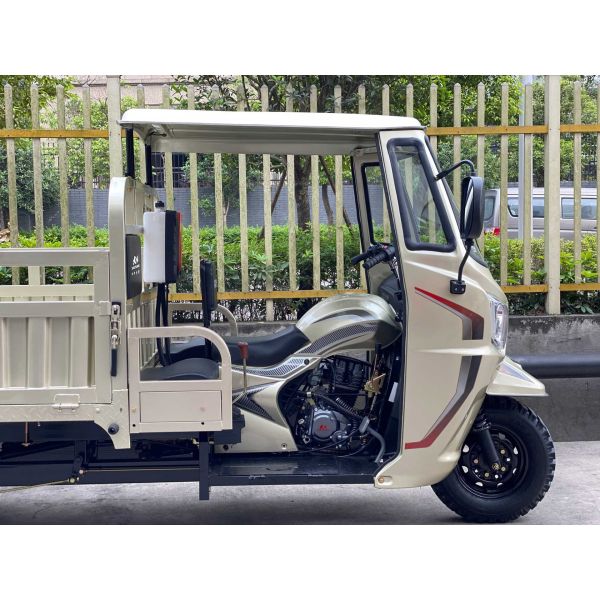 168 Полноплавучие бензиновые моторные трехколесные автомобили с задней осью для грузовых полкабин в Тунисе