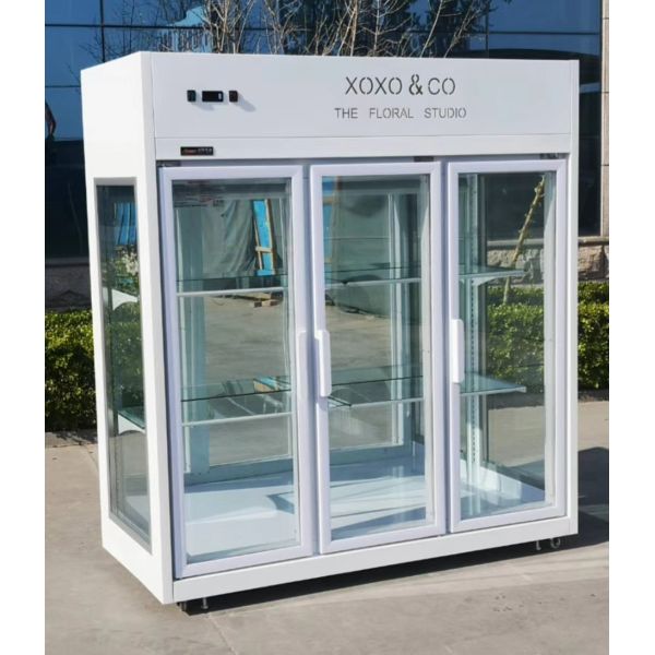 Folding Door Refrigerated Floral Display Cases Air Cooling CE