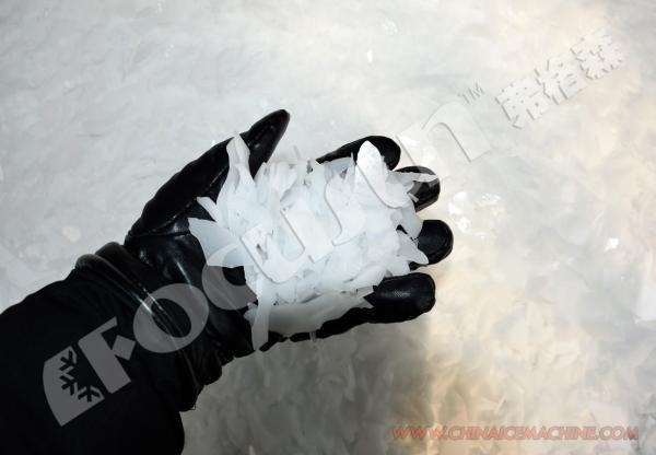 Máquina de gelo em flocos de 25T diretamente dos fabricantes com e vídeo de saída-inspecção