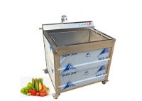 SUS végétal adapté aux besoins du client 304 de la machine à laver 300kg/h du fruit 60Hz