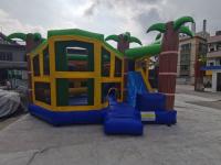 Corrediça inflável colorida do castelo do salto do PVC de Plato combinado