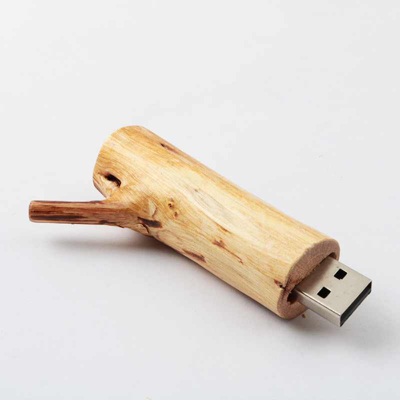 Корень дерева формирует деревянный логотип привода 256GB USB внезапный выбивая