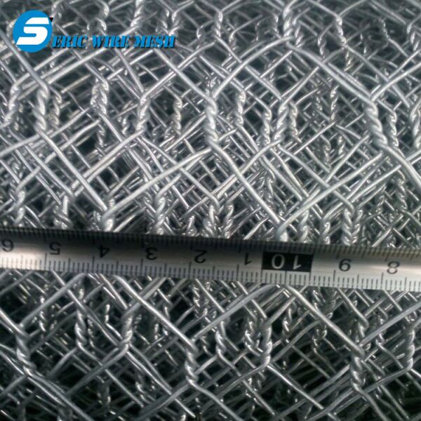 eric  hot dipped double twisted hexagonal wire mesh fishing wire mesh