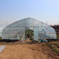 Agriculture cultivant la serre chaude croissante de feuille de plastique de tunnel pour l'élevage de poivre