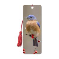 Os marcador animais do projeto 3D do pássaro com impressão bilateral de CMYK/personalizaram marcador para escolas