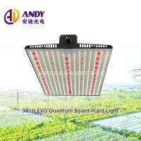 2x2ft 3x3ft Flower Grow Light Full Spectrum Veg And Bloom LED Grow Light