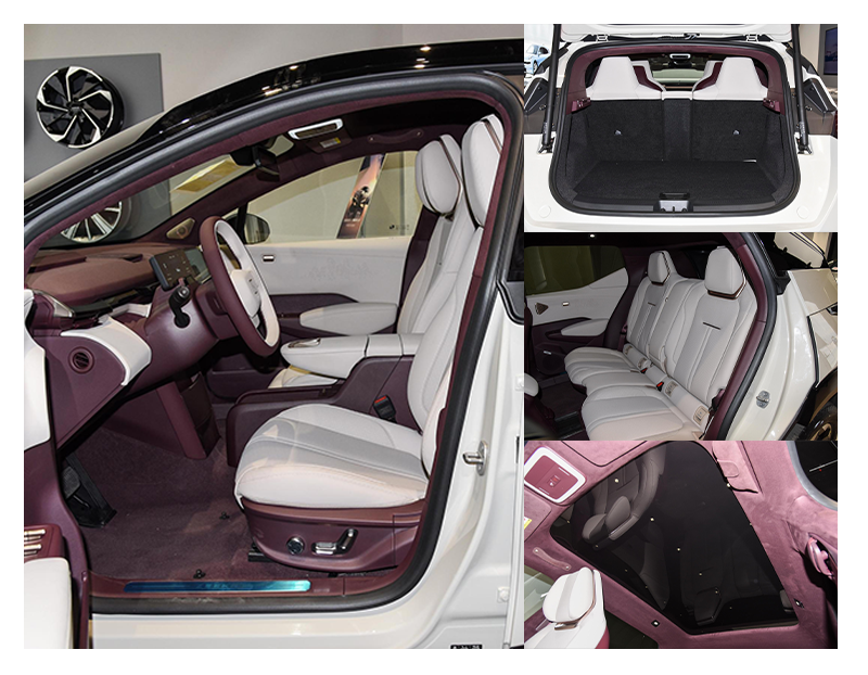 Luxury 5 Seater Compact SUV ZEEKR X Electric Car New Energy Vehicles