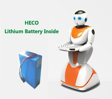 24V 10AH LiFePO4 Battery Pack For Electric Robot in Light Weight and Compact Size