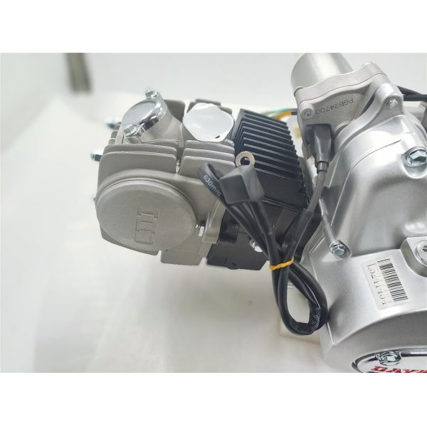 Серебряный DAYANG LIFAN 125CC Nature Ветроохлаждаемый мотоциклет Мотор сборка 3-х колесный грузовой трехколесный одноцилиндровый стиль