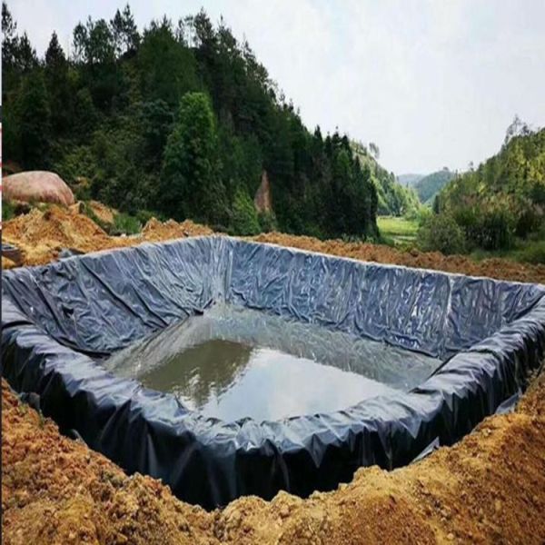 Material de geomembrana lisa HDPE EVA 1 mm 1.5 mm para jardines en los techos Venta directa