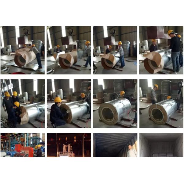 0.2mm Thickness Dx51d Galvanised Cold Rolled Steel Coil