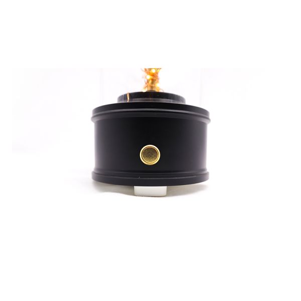 Wedding Gifts Gothic Dark Preserved Flowers In Glass With Bluetooth Speaker